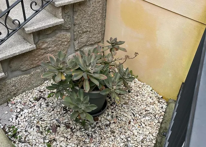 Cantinho Da Estrela مزرعة للإقامة سيا